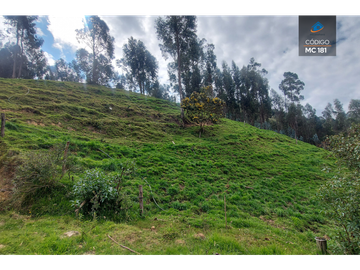 TERRENO EN VENTA EN CHIQUINTAD