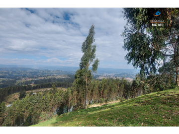 TERRENO EN VENTA EN CHIQUINTAD