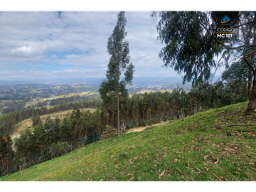 TERRENO EN VENTA EN CHIQUINTAD