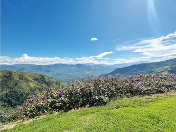 ESPECTACULAR FINCA FREDONIA EXCELENTE VISTA A CINCO MUNICIPIOS