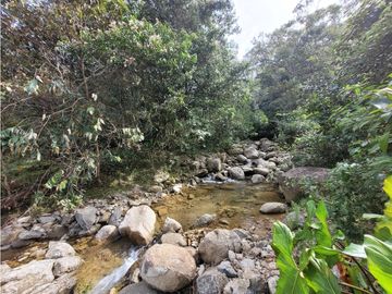 FINCA EN VENTA - CONCEPCIÓN ANTIOQUIA