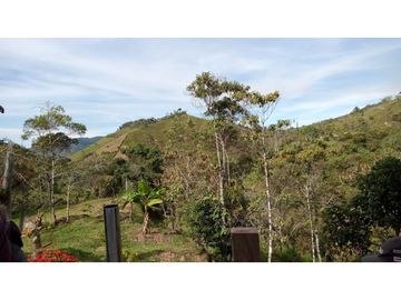 FINCA EN VENTA - CONCEPCIÓN ANTIOQUIA