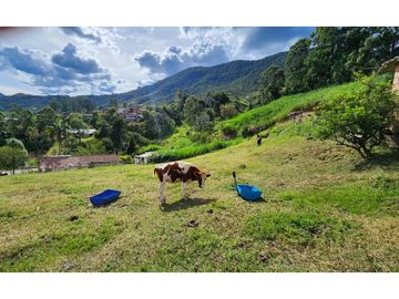 Venta de finca en San Antonio de Prado