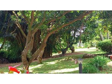 EXCELENTE FINCA GIRARDOTA SECTOR EL YARUMO