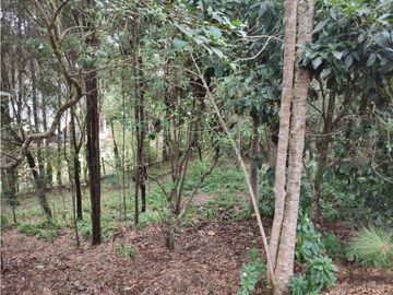 casa, finca en Medellín, santa Elena, rodeada de Naturaleza