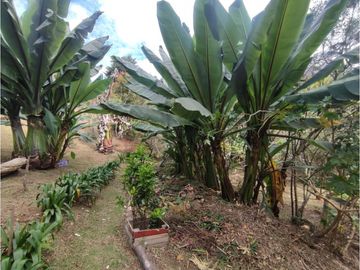 casa, finca en Medellín, santa Elena, rodeada de Naturaleza