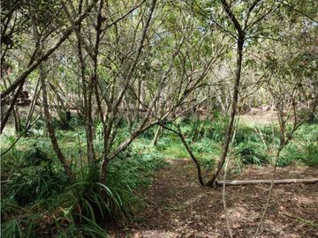 casa, finca en Medellín, santa Elena, rodeada de Naturaleza
