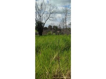 SE VENDE FINCA GANADERA EN BARRANCABERMEJA CORREGIMIENTO EL CENTRO