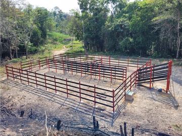 SE VENDE FINCA GANADERA EN BARRANCABERMEJA CORREGIMIENTO EL CENTRO