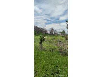 SE VENDE FINCA GANADERA EN BARRANCABERMEJA CORREGIMIENTO EL CENTRO