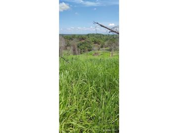 SE VENDE FINCA GANADERA EN BARRANCABERMEJA CORREGIMIENTO EL CENTRO