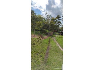 SE VENDE FINCA GANADERA EN BARRANCABERMEJA CORREGIMIENTO EL CENTRO