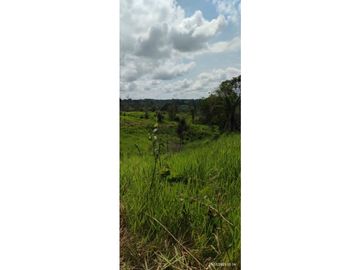 SE VENDE FINCA GANADERA EN BARRANCABERMEJA CORREGIMIENTO EL CENTRO