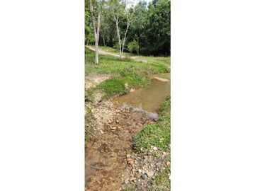SE VENDE FINCA GANADERA EN BARRANCABERMEJA CORREGIMIENTO EL CENTRO