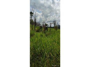 SE VENDE FINCA GANADERA EN BARRANCABERMEJA CORREGIMIENTO EL CENTRO