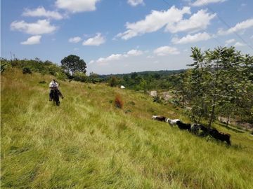 SE VENDE FINCA GANADERA EN BARRANCABERMEJA CORREGIMIENTO EL CENTRO