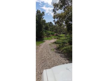 SE VENDE FINCA GANADERA EN BARRANCABERMEJA CORREGIMIENTO EL CENTRO