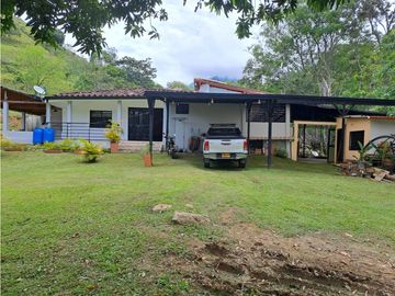 VENTA FINCA VENECIA FREDONIA CON NACIMIENTO DE AGUA!!