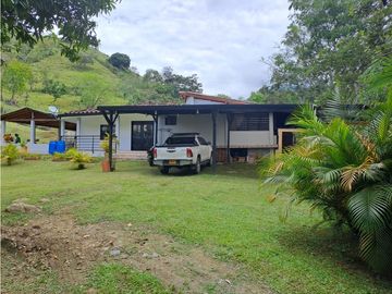 VENTA FINCA VENECIA FREDONIA CON NACIMIENTO DE AGUA!!