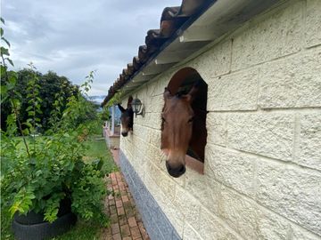 Finca en venta en Girardota sector El Limonar