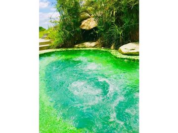 Venta Casa Campestre Montenegro Quindio COD: 6669414
