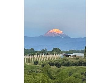 Venta Casa Campestre Montenegro Quindio COD: 6669414