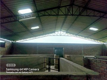 SE VENDE CASA CAMPESTRE  EN FILANDIA QUINDIO