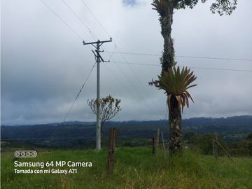 SE VENDE CASA CAMPESTRE  EN FILANDIA QUINDIO