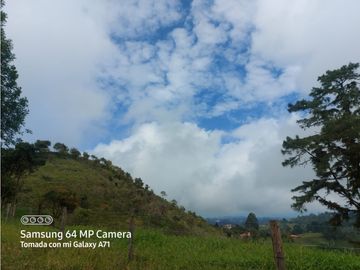 SE VENDE CASA CAMPESTRE  EN FILANDIA QUINDIO