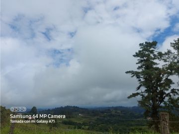 SE VENDE CASA CAMPESTRE  EN FILANDIA QUINDIO