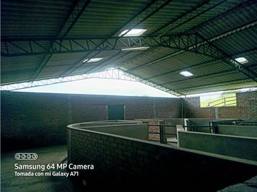 SE VENDE CASA CAMPESTRE  EN FILANDIA QUINDIO