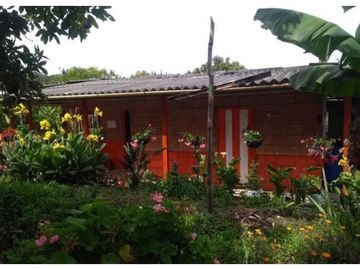 VENTA FINCA 5 ha Aguacate Abejorral Antioquia