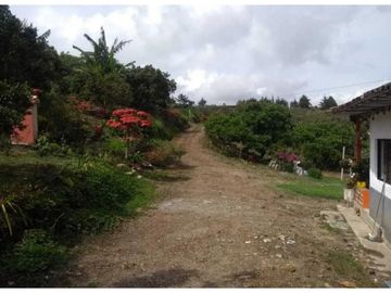 VENTA FINCA 5 ha Aguacate Abejorral Antioquia