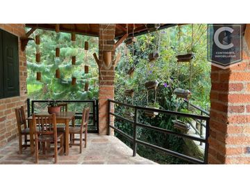 Venta Finca Pantanillo San Pedro de los Milagros