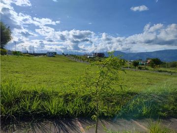VENDO LOTE EN CONDOMINIO EN  VITERBO CALDAS