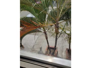 Vendo casa en el sur de cali barrio ciudad del sur via puerto tejada
