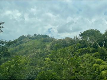 Venta de Lote Sector Lisboa, Manizales