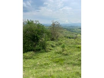 Venta de Lote Sector Lisboa, Manizales
