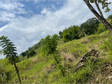 Venta de Lote Sector Lisboa, Manizales