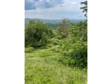 Venta de Lote Sector Lisboa, Manizales