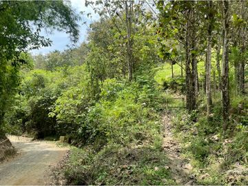 Venta de Lote Sector Lisboa, Manizales