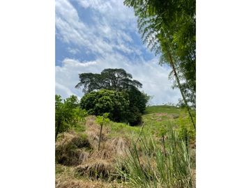 Venta de Lote Sector Lisboa, Manizales