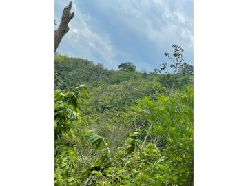 Venta de Lote Sector Lisboa, Manizales