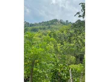 Venta de Lote Sector Lisboa, Manizales
