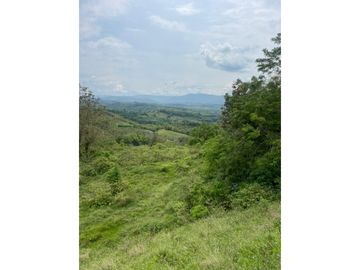 Venta de Lote Sector Lisboa, Manizales