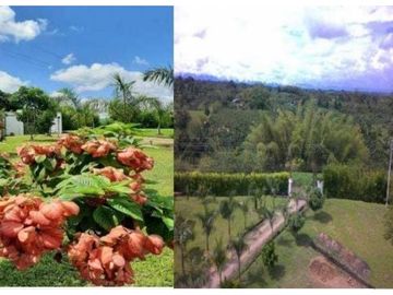 Venta Hotel Montenegro Quindio COD: 6063950
