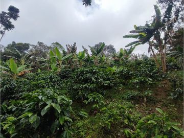 Vende Finca en Guaduas