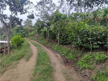 Vende Finca en Guaduas