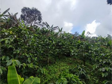 Vende Finca en Guaduas