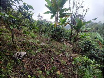 Vende Finca en Guaduas